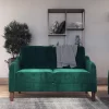 Penny 2 Seater Loveseat Sofa Green Velvet - Room & Joy -Room & Joy GUEST ef8b02df d07d 4878 99b7 1451339d3578